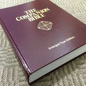 The Compan
