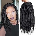 Admutty Havana Twist Crochet Hair 6