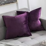 MIULEE Pack of 2 Velvet Soft Decorative Square Throw Pillow Case Flanges Cushion Covers Pillowcases for Livingroom Sofa Bedroom with Invisible Zipper 40cm x 40cm 16x16 Inch Set of Two Aubergine