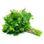 Parsley 1 bunch x 20 pack