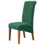 Green Forest Chair For Backs