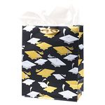 Hallmark 9" Medium Graduation Gift Bag with Tissue Paper (Gold and Silver Mortarboards on Black) for College, High School, 8th Grade, Kindergarten, Nurses