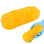 1 lb Human Fat Anatomical Model, Human Fatty Tissue Demonstration Model, Realistic Anatomic Fat Model, Perfect for Nutritionists Fitness Enthusiasts Anatomical Science Course for Medical Student