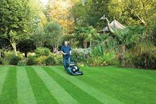 Hayter Harrier 56 Lawnmower Petrol Variable Speed Electric Start Rear Roller 56cm (576B) + Free Hayter Mower Cover
