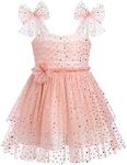 IDOPIP Baby Girls Sequin Stars Tutu