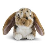 Living Nature Brown Dutch Lop Eared Rabbit Stuffed Animal Plush Toy | Fluffy Rabbit Animal | Soft Toy Gift for Kids | Boys and Girls Stuffed Doll | Naturli Eco-Friendly Plushies | 26 cm