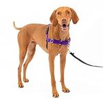 Radio Systems PRP-EWHHCM-PU Easy Walk Harness Clamshell 3/4-Inch Nylon, 20-28-Inch Girth, Medium, Purple