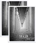 DOAI ART 18x24 Poster Frame 2 Pack,