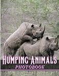 Humping Animals Photobook: Picture 