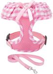 EXPAWLORER Soft Mesh Dog Harness and Leash Set - Pink Dog Harness, No Choke Step-in Adjustable Cute Dog Harness, Breathable Lightweight Vest Harness for Puppy Dogs Cats Outdoor Walking, Medium