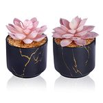 ZENIDA Succulent Artificial Plants,Cute Fake Succulents in 2 Black Ceramic Pots,Small Fake Plants for Office,Table,Desk,Bathroom, Bedroom,Aesthetic Room Shelves Decor,Desk Decorations for Women