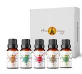 Christmas Time Fragrance Oil Set 5 x 10ml | Gift Box for Home Diffuser Refill, Wax Melts, Candle Making, Soaps, Perfume | Xmas Cookie, Christmas Tree, Cinnamon Apple, Christmas Spice, Candy Cane