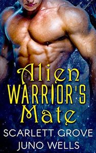 Alien Warrior's Mate: Draconians (Dragon Shifter Scifi BBW BWWM Romance)