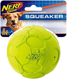 Nerf Dog 3