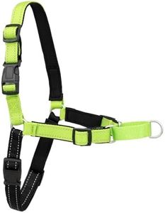 PetSafe Ea