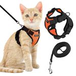 Cat Harness