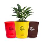 Pot and Bloom 4-Inch Self-Watering Pots, Set of 3, Red, Yellow, Brown