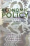 Economic Policy: Theory and Practic