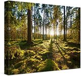 PICANOVA – Canvas Print 40x30 cm – Canvas Art Print Wall Art – Wall Decor Picture Stretched on Wooden Frame – Sunrise in Pine Forest Forest Collection