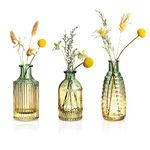 Joeyan Bud Vases Set of 3, Small Glass Vases for Flowers Mini Bud Vases Sweet Coloured Pea Vases Modern Floral Centerpiece for Table Decoration Wedding Party Living Room Décor Gift