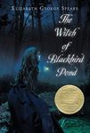 The Witch of Blackbird Pond: A Newb