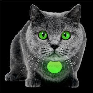 GLO-X Cat Collar Glow Tags – World’s Most Powerful Glow in The Dark Cat Collar Glow Tags to Keep Your Cats Safe at Night – Enhance Visibility for Furry Friends-12+ Hours Glow Time – Solar Powered