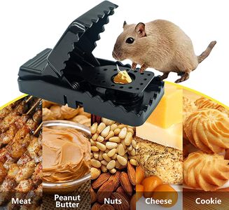 HOMEREVEL Reusable Mouse Trap Set – 6-Pack Rodent Control