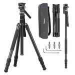 SMALLRIG 72" Video Tripod Travel Tripod Fluid Head with Leveling Base, Camera Tripod Monopod for Photography Vlogging, Load up to 8.8 lbs/4 kg - 4319