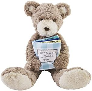 Mud Pie Children's Big Sibling Book Bear, Big Bro