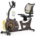 Recumbent Exercise Bike with Magnetic Resistance, Quiet Stationary Bike for Home Use with Breathable Backrest & Sliding Adjustable Seat, Support 350LBS, Compatible with Kinomap/Fitshow APP