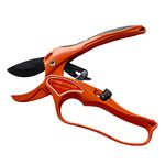 Home Depot Pruners