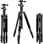 Camera Tripod, ZOMEI Q555 62.5-inch Lightweight Aluminum Alloy Travel Tripod with 360° Ball Head, 1/4" Quick Release Plate and Carry Bag