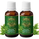 Exotic Aromas Citronella Essential Oil for Aroma Therapy, Hair & Skin (15Ml + 15Ml) Pack of 2