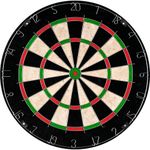 Champion Dart Board