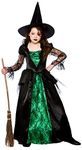 Kids Deluxe Emerald Witch Fancy Dress Costume - Large (Age: 8-10)