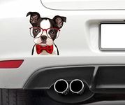 WaterShed Designs Boston Terrier dog lover Decal Sticker Bumper or window sticker/decal Carriage Dog Spotted Coach Dog Leopard Carriage Dog Firehouse Dog Plum Pudding Dog