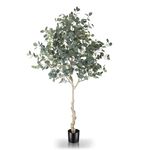 LYERSE 6ft Artificial Eucalyptus Tree in Plastic Nursery Pot, Tall Faux Eucalyptus Stems Fake Plants with 846 Silver Dollar Leaves, Artificial Trees for Office House Living Room Home Decor Indoor