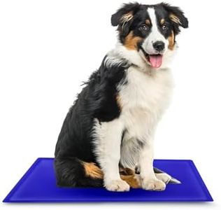 ASAB Dog C