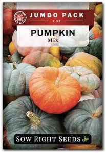 Sow Right Seeds - Bulk Mixed Pumpkin Seeds for Planting - 1 Ounce, 140 Seeds - Non-GMO Heirloom Jumbo Pack with Instructions to Plant a Home Vegetable Garden - Grow Loads of Colorful Mixed Pumpkins