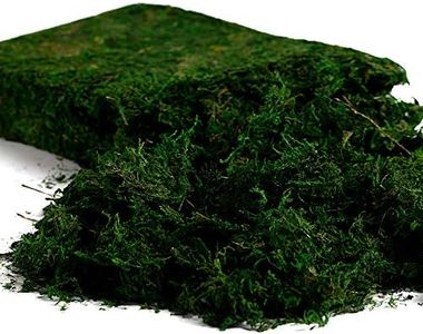 Farmoo Artificial Moss for Plant, Fairy Garden Lawn Crafts Wedding Decor (Fresh Green Moss)