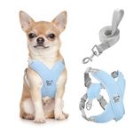 Pawaboo Dog Harness with Leash Set, X-Frame No Pull Pet Harness, Adjustable Choke Free Dog Vest Harness for Small Medium Dogs & Puppies, Breathable Puppy Vest with Leash for Walking Outing (S, Blue)