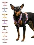 BODDLELANG H-Type Easy Walk Dog Harness for Medium Dogs No Pull | Escape Proof Harness for Dogs | Adjustable Purple Dog Harness Medium Sized Dog | Dog Walking Harness Accessories (M1, Purple)