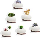 NIUBEST Small Floating Shelves,5x5 