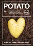 Potato: All you need to know in one concise manual