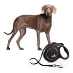 FLEXI New Classic Tape Retractable Dog Leash for Large Size Dogs Upto 50kgs. – 16 ft., Black | Tangle Free Pet Walking Leash with One-Handed Brake, Pause, Lock | German Quality Product