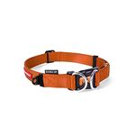 EZYDOG Double Up Dog Collar | Dog Collar Small, Medium, Large Dogs, Reflective Dog Collar, Supreme Comfort, Soft Neoprene Material, Strong Nylon Webbing (Medium, Orange)