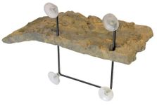 Zoo Med TD-30 Turtle Dock, Small