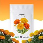 Marigold African Crackerjack Seeds 