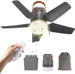 20" Portable Ceiling Fan with Light