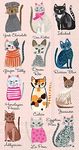 Ideal Home Range 16 Count Cool Cats Paper Guest Buffet Towel Napkins